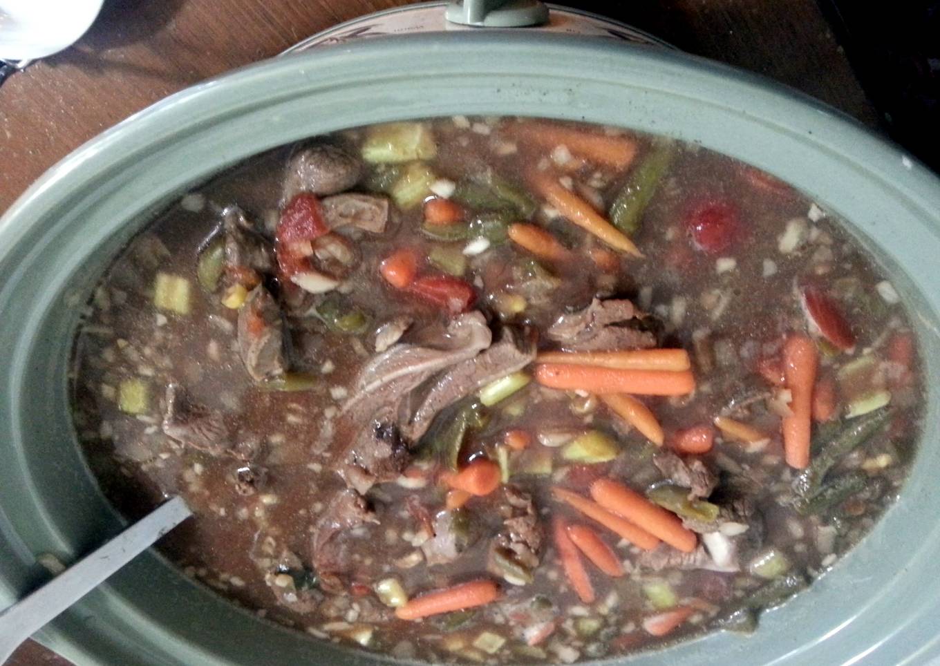 vegtable/beef soup